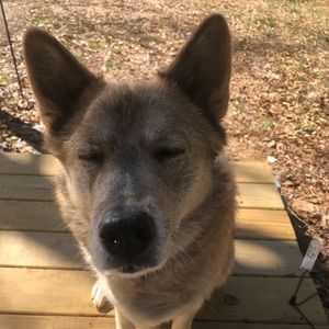 Meet your Posher, Albert